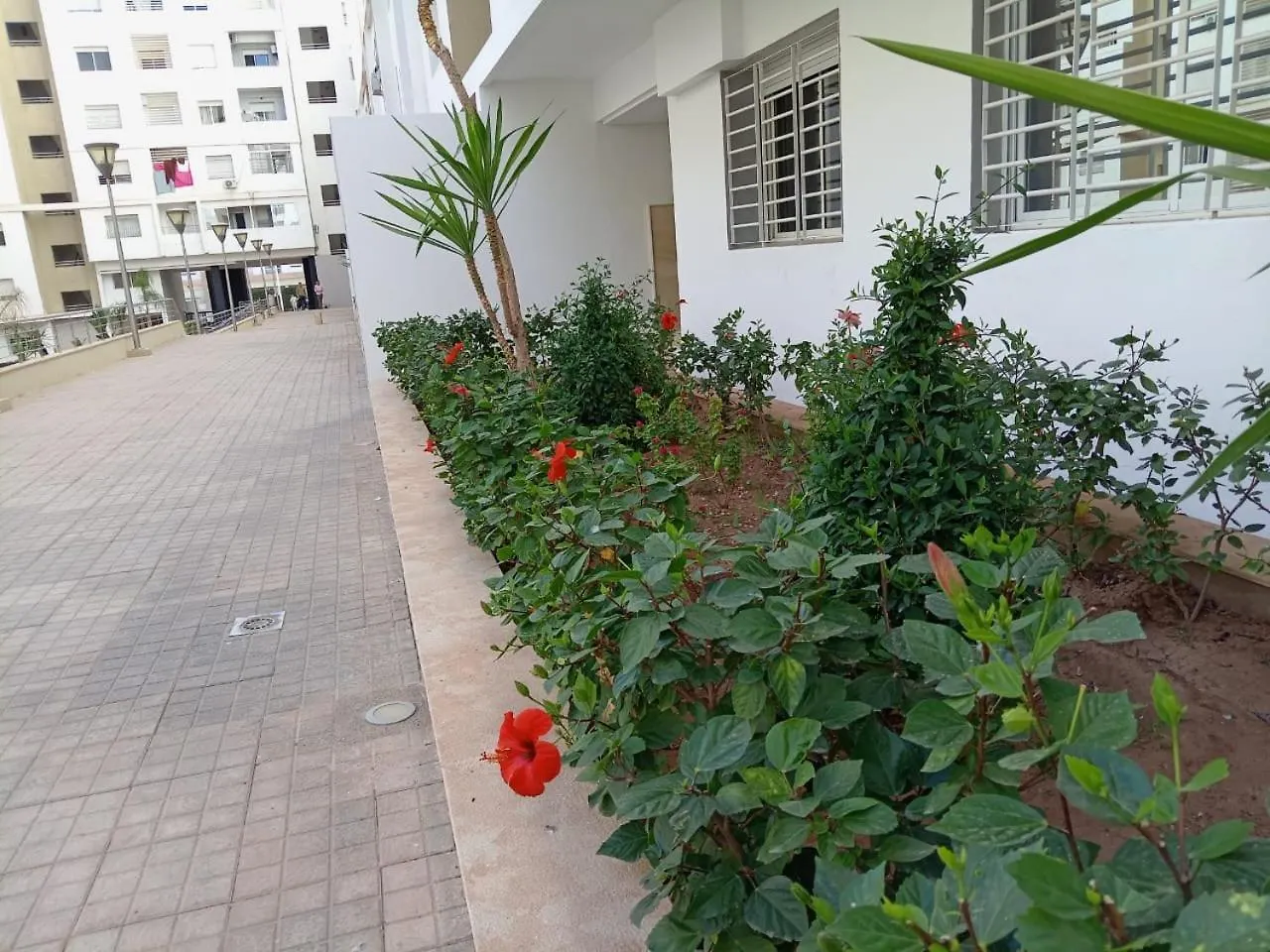 Lejlighed Holikeys - Agadir - 1 Ch - Residence Islan 011